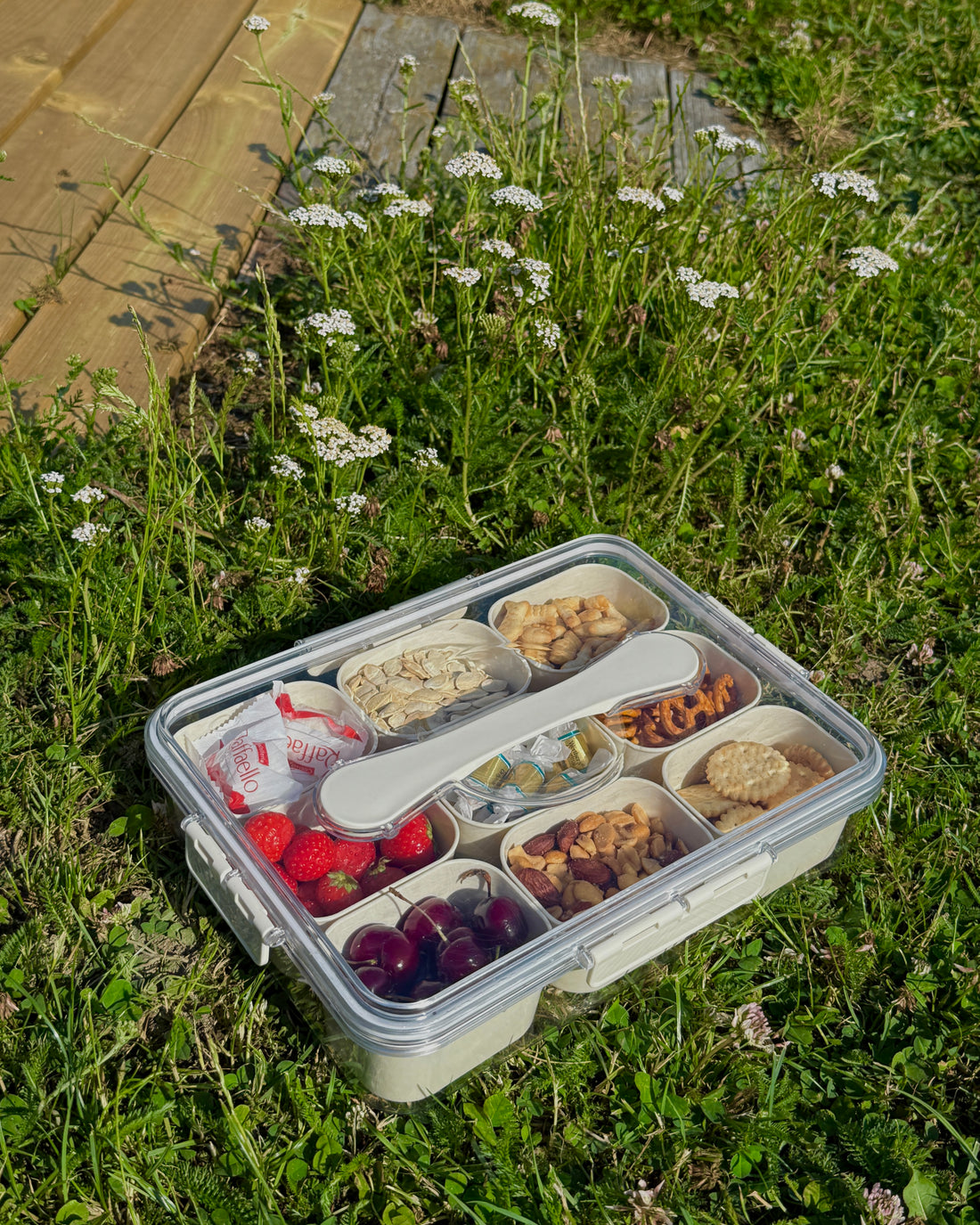 Snackslåda med 9 fack och bärhandtag